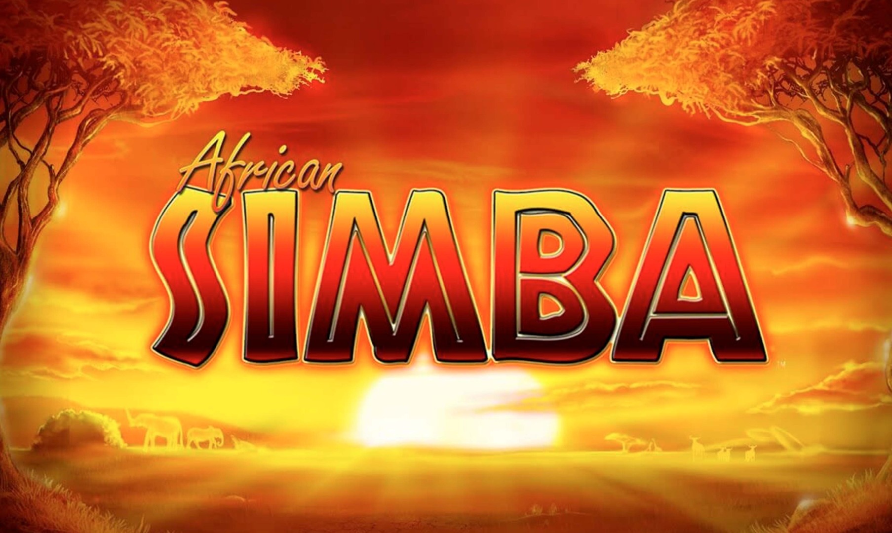 African Simba