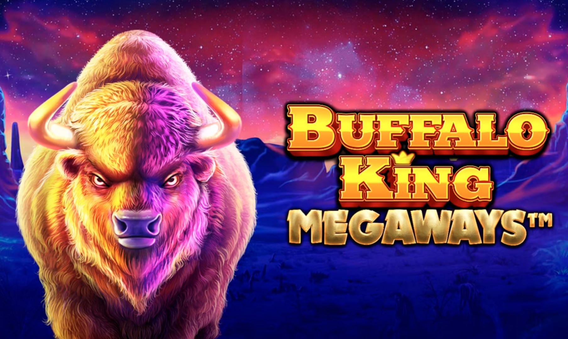 Buffalo King MW