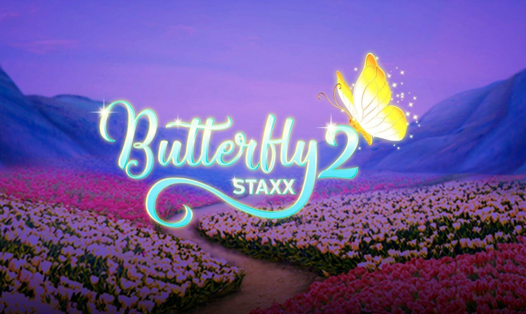 Butterfly Staxx 2