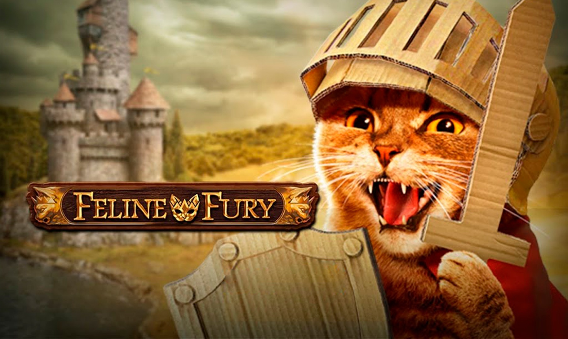 Feline Fury