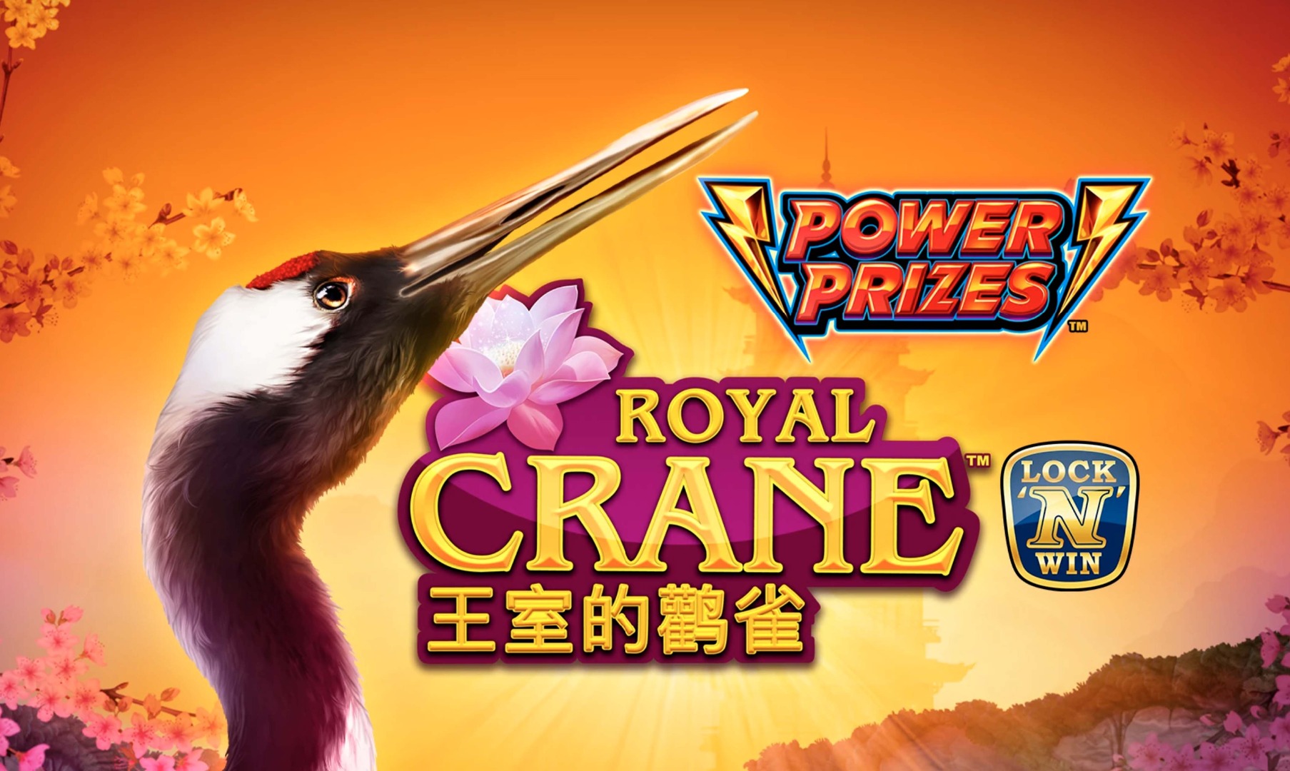 Power Prizes R.C