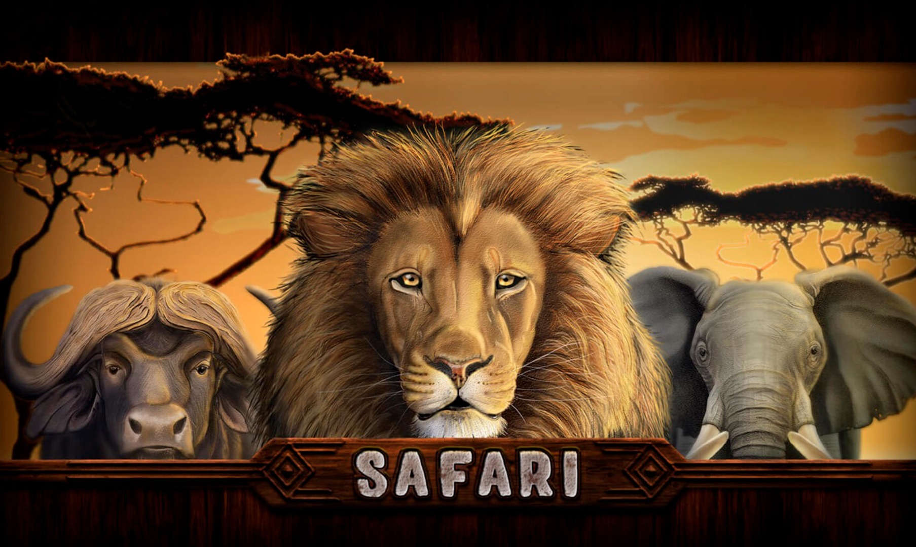 Safari