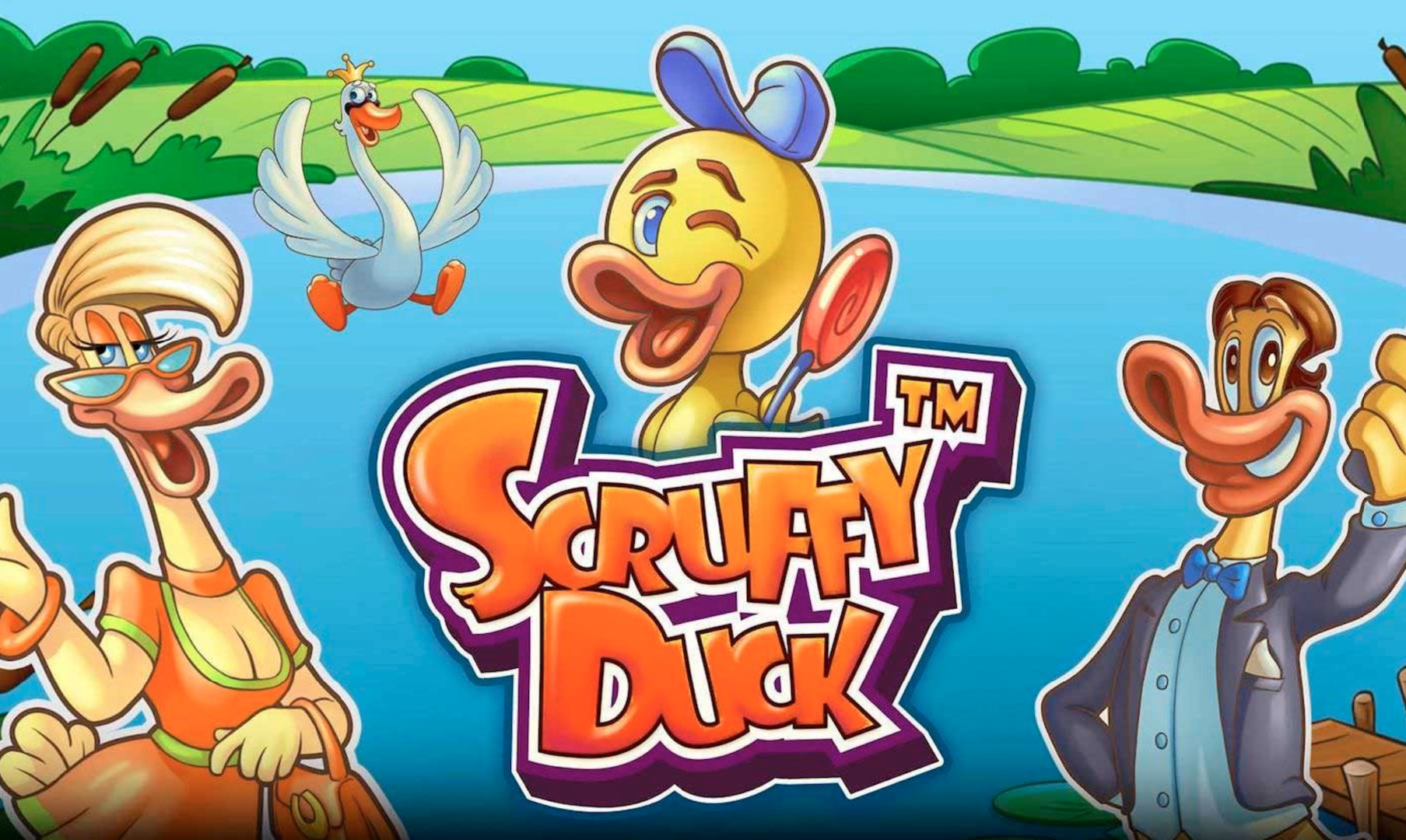 Scruffy Duck