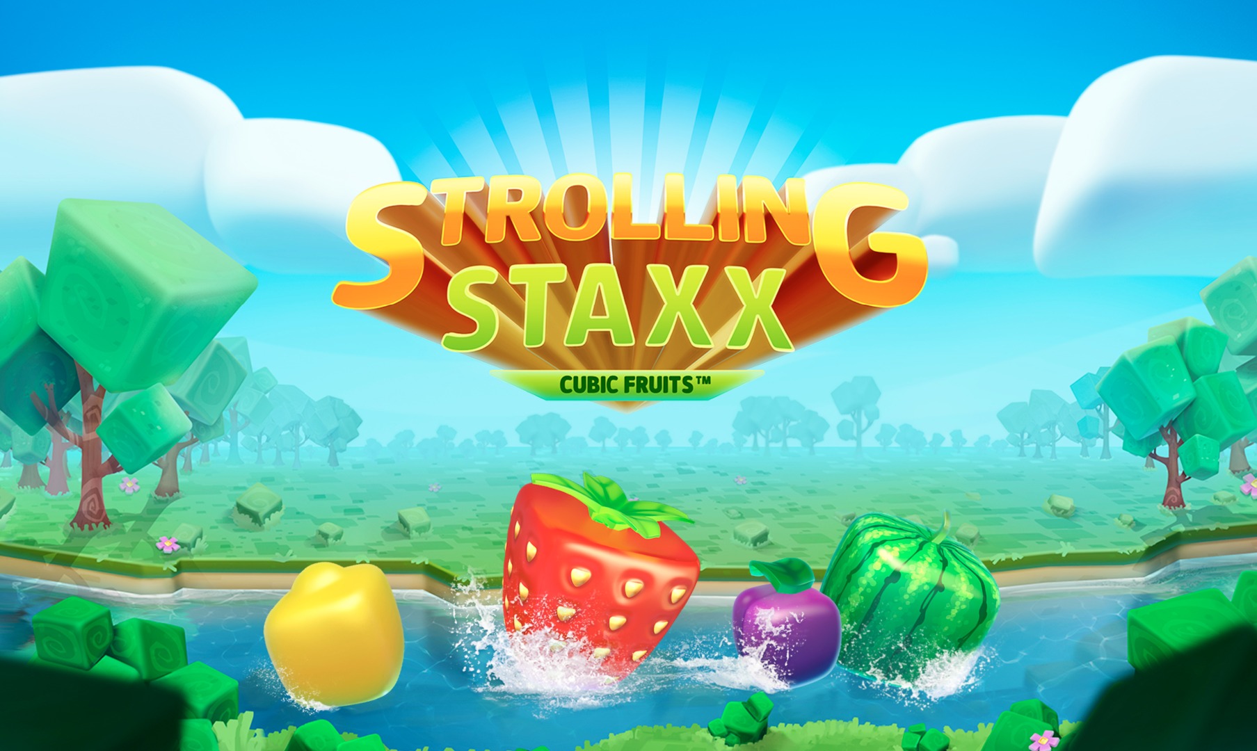 Strolling Staxx