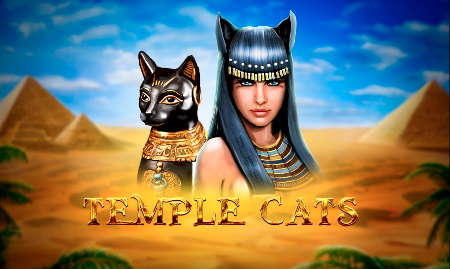Temple Cats