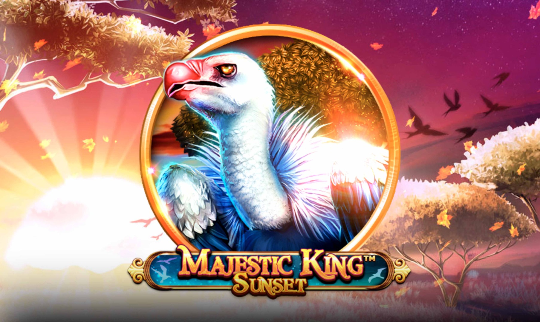Majestic King – Sunset