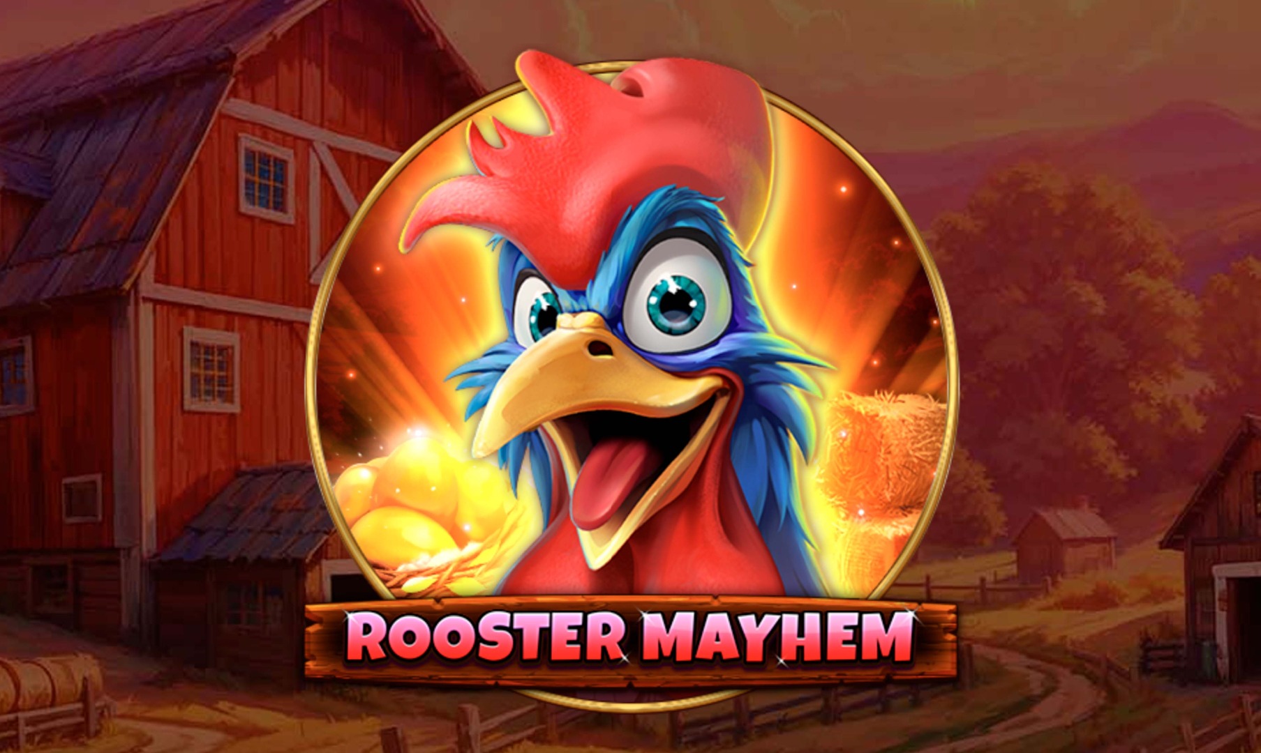 Rooster Mayhem