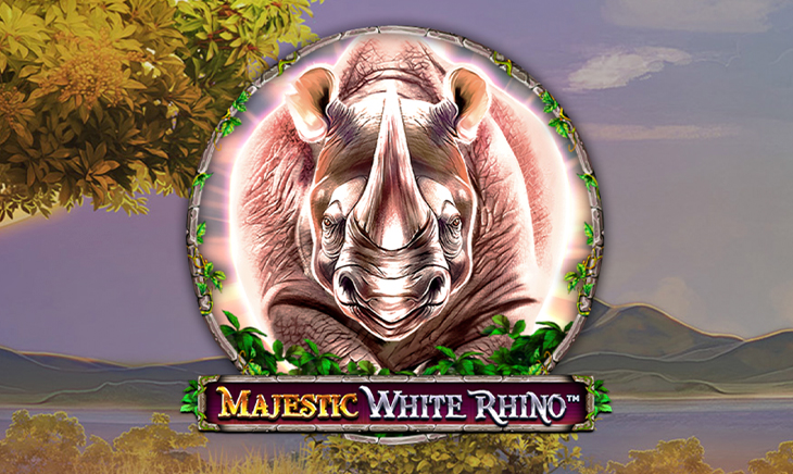 Majestic White Rhino