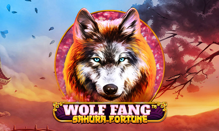 Wolf Fang – Sakura Fortune